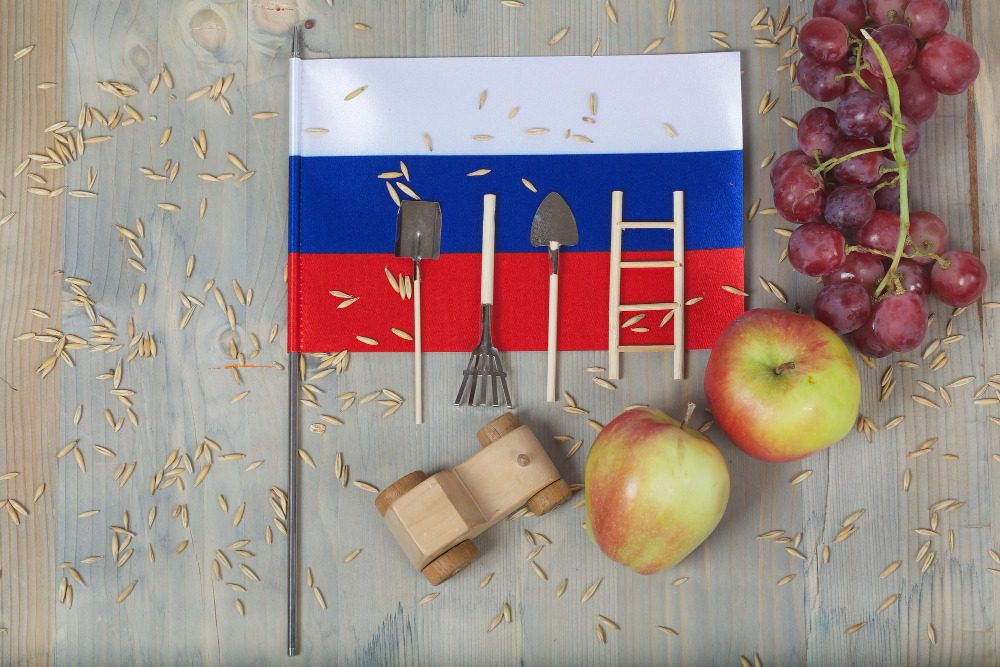 Как получить гражданство Грузии гражданину России